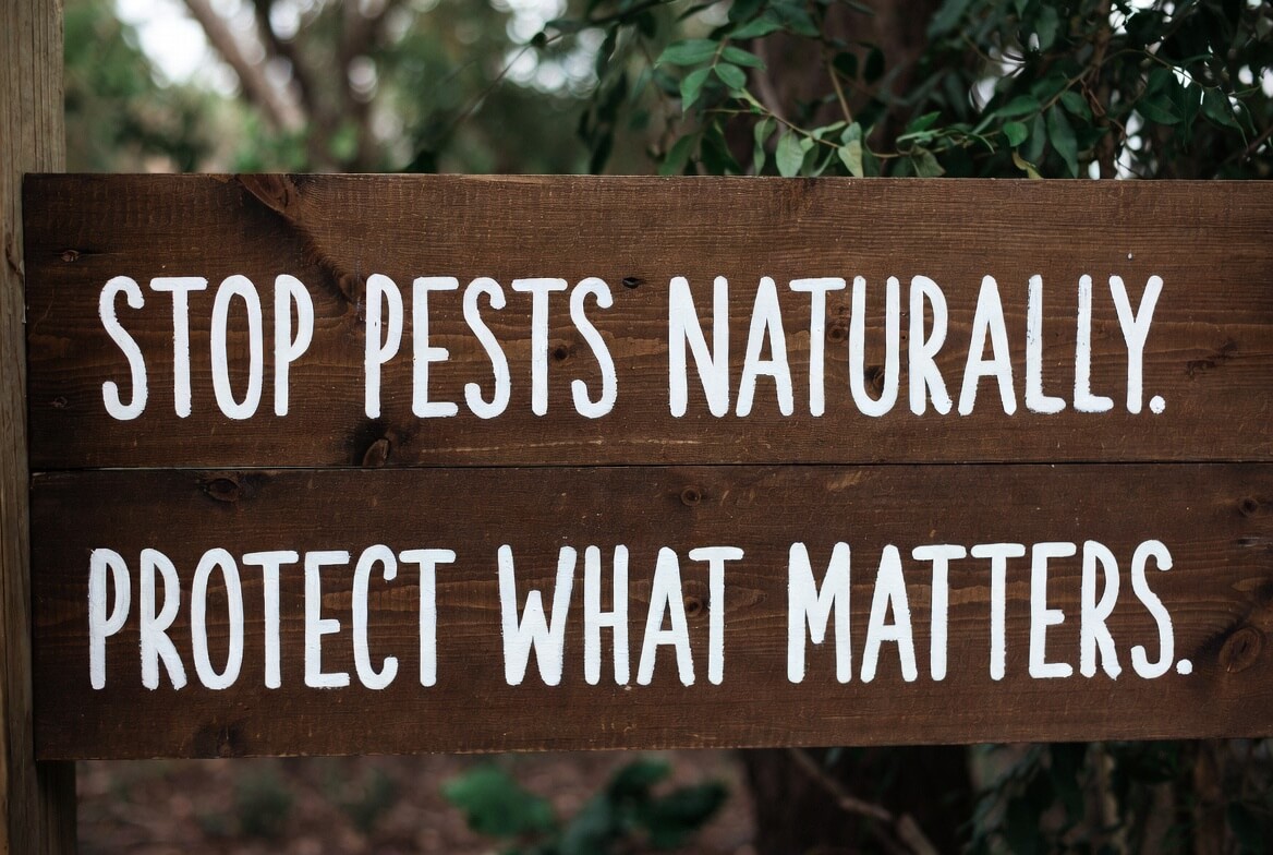 Stop Pests Naturally - Natural Pest Control