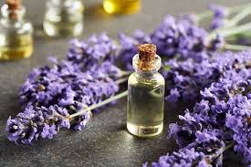 Dried lavender used for sachets or home fragrance
